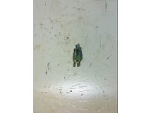 LOCUST NYOMÓGOMB